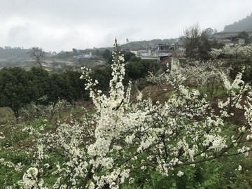 四川简阳丹景山龙泉山脉