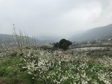 四川简阳丹景山龙泉山脉