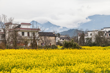 婺源