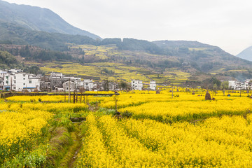 婺源