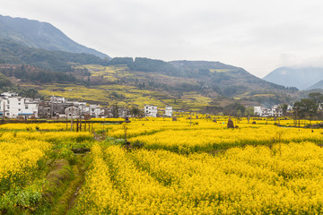 婺源