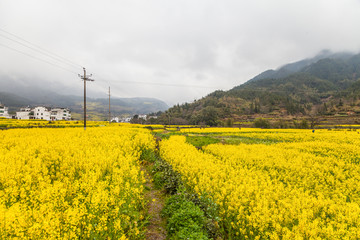 婺源