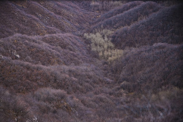 怀柔山坡上冬季景色