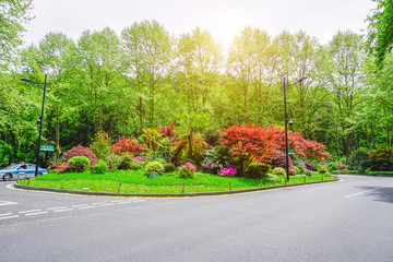 城市道路