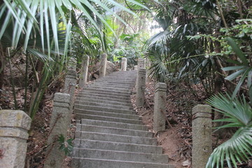 登山路