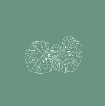 植物花卉圖案