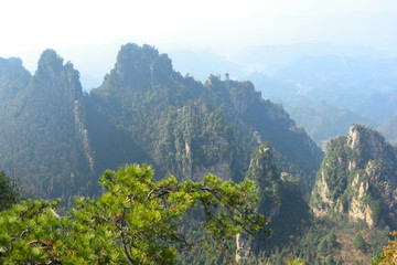 张家界天波府峰墙砂岩地貌景观