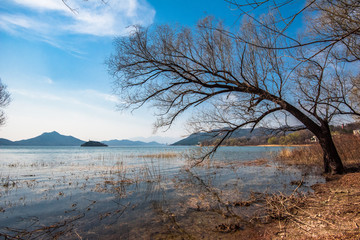 湿地风光