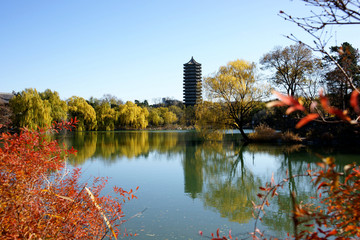 北京大学