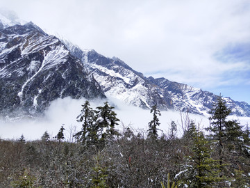 蓝天白雪山峰树木