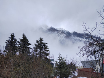 雪景