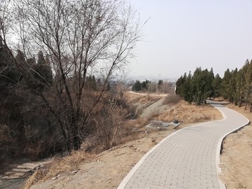 四寶山的路