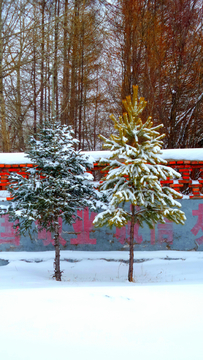 小镇雪景