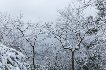 西湖
