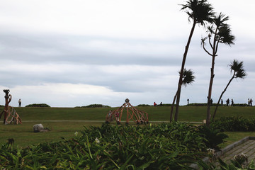 美丽的自然风景