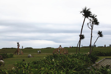 美丽的自然风景