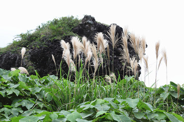 美丽的自然风景