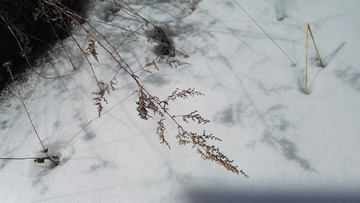 雪景光影