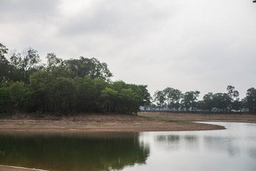 绿岸湖水