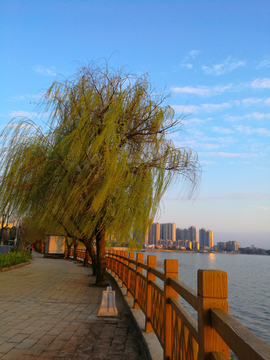 武汉汤逊湖风光