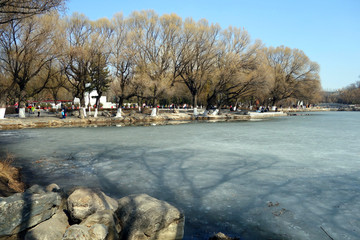 青城公园的冬天