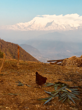 尼泊尔雪山村落