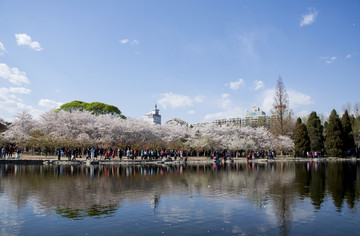 春色北京