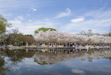 春色北京