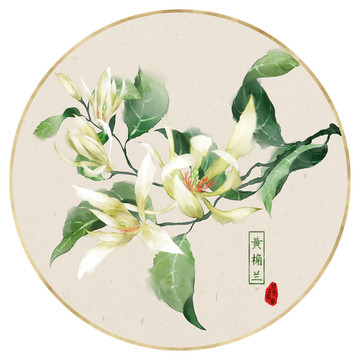 黃桷蘭