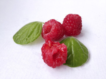 鲜果树莓