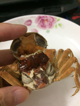 大閘蟹