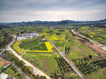 浙江兰溪芝堰村油菜花田航拍