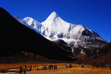 稻城亚丁央迈勇洛绒牛场秋景