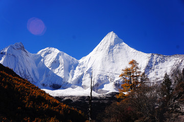 稻城亚丁央迈勇洛绒牛场秋景