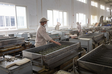 茶叶生产线