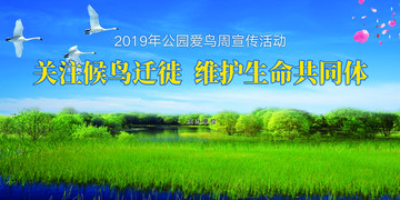 綠色背景
