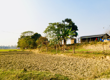 尼泊尔田野