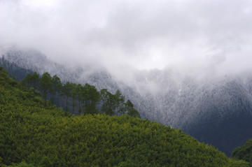 青翠的山坡