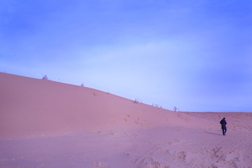 沙漠中独自行走的旅人