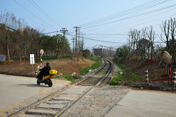 城市绿化