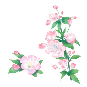 水彩風海棠花