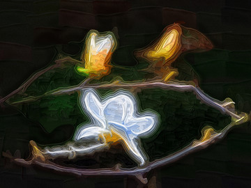 玉蘭花油畫