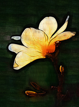 玉蘭花油畫