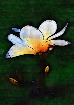 玉蘭花油畫