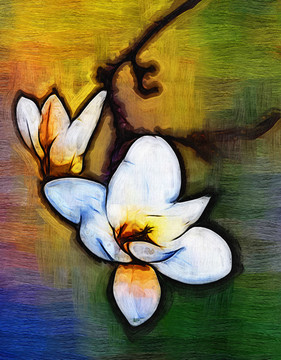 玉蘭花油畫