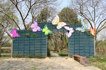 蝴蝶花墙