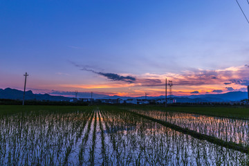 朝霞