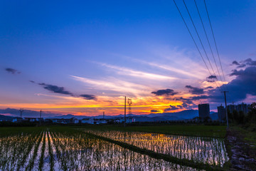 朝霞