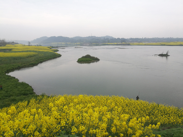 沱江春色