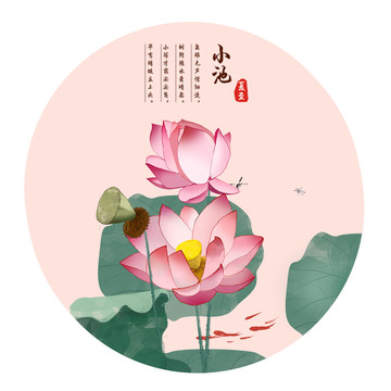 夏至蓮花